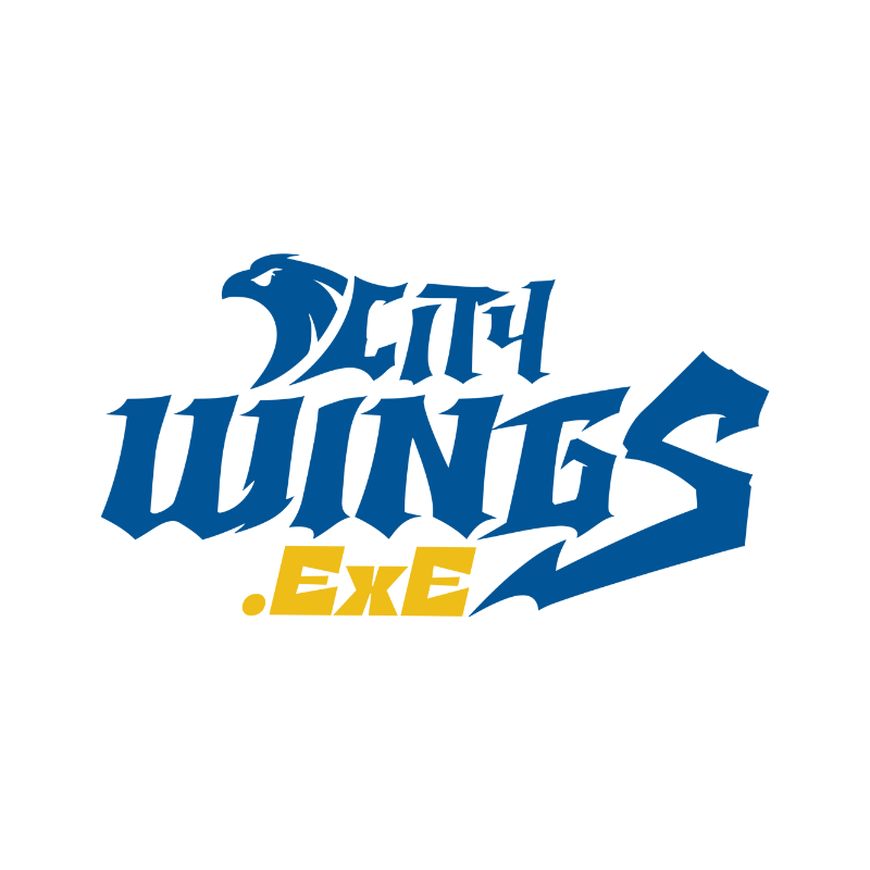 HOCHIMINH CITY WINGS.EXE