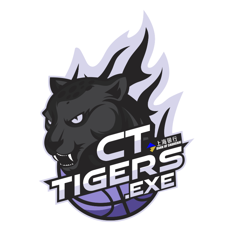 CT TIGERS.EXE