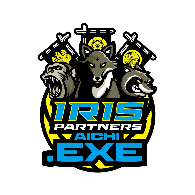 IRISPARTNERS AICHI.EXE